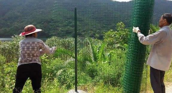 1553615288521071.jpg 360截圖20190326234748165.jpg